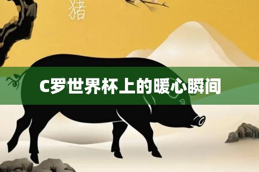 C罗世界杯上的暖心瞬间广西贺州市华昌新材料有限公司