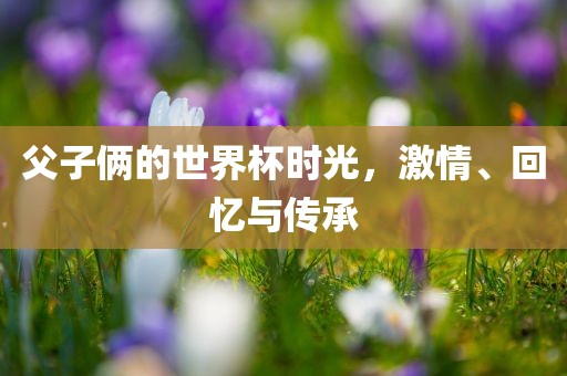 父子俩的世界杯时光，激情、回忆广西贺州市华昌新材料有限公司与传承