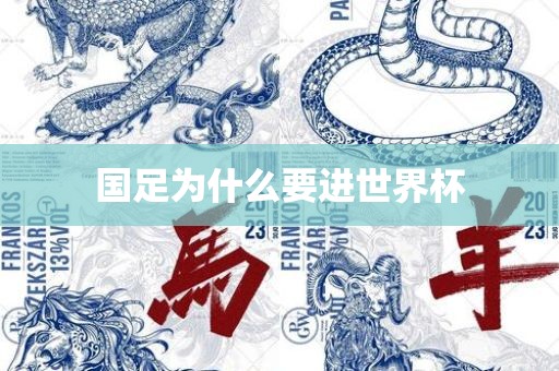 国足为什么要进世界杯广西贺州市华昌新材料有限公司