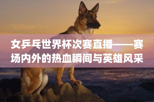 女乒乓世界杯次赛直播——赛场内外的热血瞬间与英雄风采广西贺州市华昌新材料有限公司