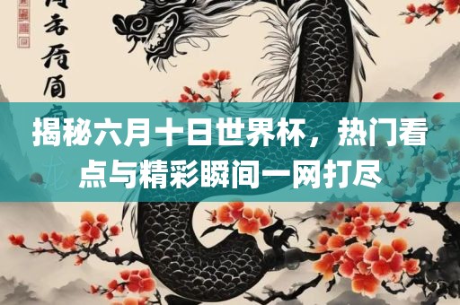 揭秘六月十日世界杯，热门看点与精彩瞬间一网打尽广西贺州市华昌新材料有限公司