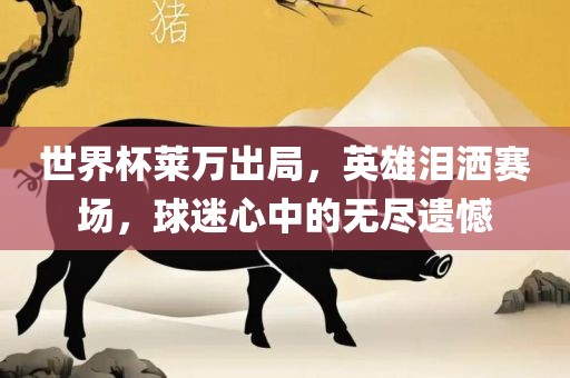 世界杯莱万出局，广西贺州市华昌新材料有限公司英雄泪洒赛场，球迷心中的无尽遗憾