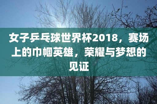 女子乒乓球世界杯2018，赛场上的巾帼英雄，荣耀与梦想的见证广西贺州市华昌新材料有限公司