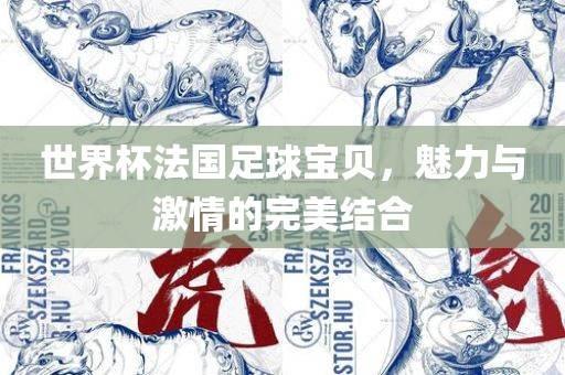 世界杯广西贺州市华昌新材料有限公司法国足球宝贝，魅力与激情的完美结合
