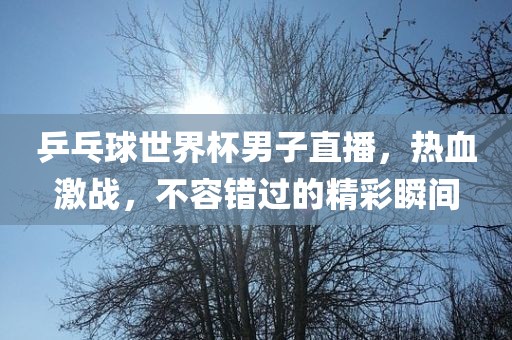 乒乓球世界杯男子直播，热血激战，不容错过的精彩瞬间广西贺州市华昌新材料有限公司