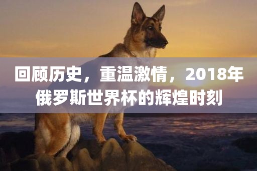 回顾历史，重温激情，2018年俄罗斯世界杯的辉煌时刻