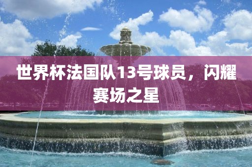 世界杯法国队13号球员，闪耀赛场之星