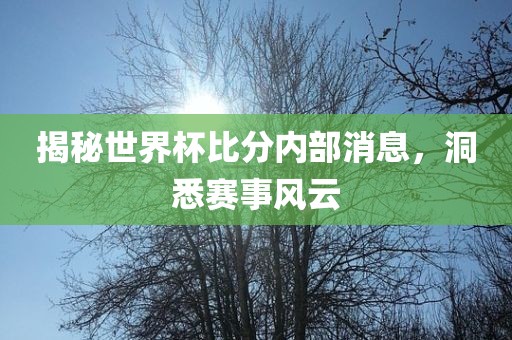 揭秘世界杯比分内部消息，洞悉赛事风云
