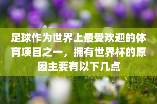 足球作为世界上最受欢迎的体育项目之一，拥有世界杯的原因主要有以下几点广西贺州市华昌新材料有限公司