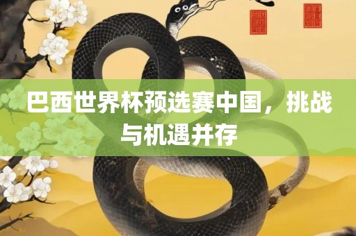巴西世界杯预选赛中国，挑战与机遇并存广西贺州市华昌新材料有限公司