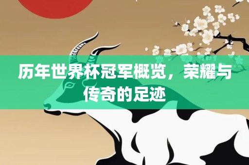历年世广西贺州市华昌新材料有限公司界杯冠军概览，荣耀与传奇的足迹