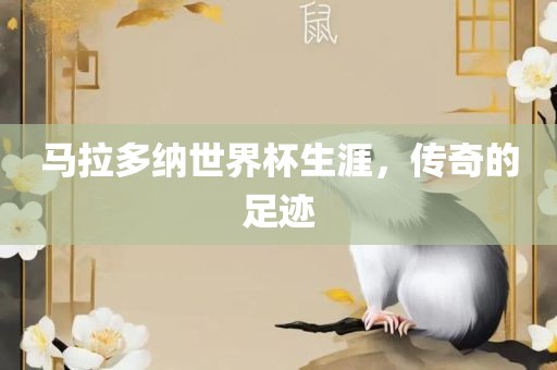 马拉多纳世界广西贺州市华昌新材料有限公司杯生涯，传奇的足迹