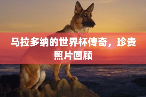 马拉多纳的世界杯传奇，珍贵照片回顾