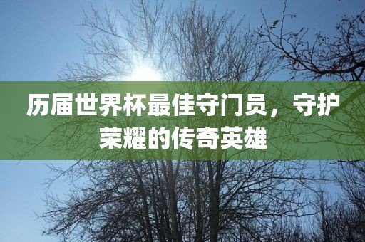 历届世界杯最佳守门员，守护荣耀的传奇广西贺州市华昌新材料有限公司英雄