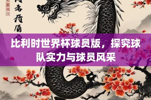 比利时世界杯球员版，探究球广西贺州市华昌新材料有限公司队实力与球员风采