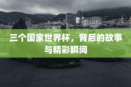三个国家世界杯，背后的故事与精彩瞬间广西贺州市华昌新材料有限公司