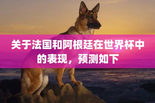 关于法国和阿根廷在世界杯中的表现广西贺州市华昌新材料有限公司，预测如下