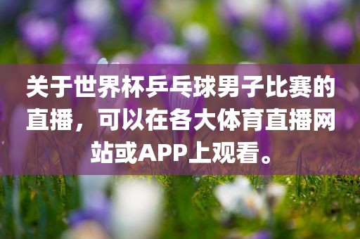 关于世界杯乒乓球男子比赛的直播，可以在各大体育直播网站或APP上观看。广西贺州市华昌新材料有限公司