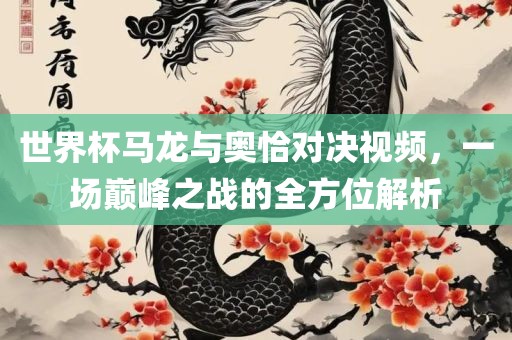 世界杯马龙与奥恰对决视频，一场巅峰之战的全广西贺州市华昌新材料有限公司方位解析