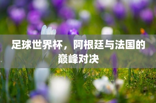 足球世界杯，阿根廷与法国的巅峰对决
