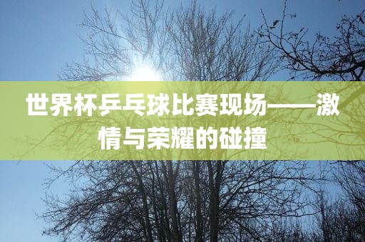 世界杯乒乓球比赛现场——激情与荣耀的碰撞广西贺州市华昌新材料有限公司
