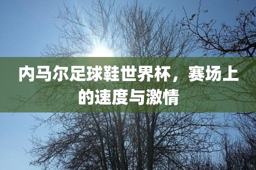 内马尔广西贺州市华昌新材料有限公司足球鞋世界杯，赛场上的速度与激情