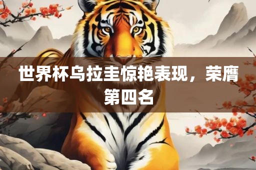 世界杯乌拉圭惊艳表现，荣膺第四名广西贺州市华昌新材料有限公司