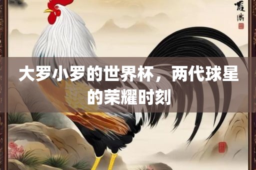大罗小罗的世界杯，两代球星的荣耀时刻广西贺州市华昌新材料有限公司