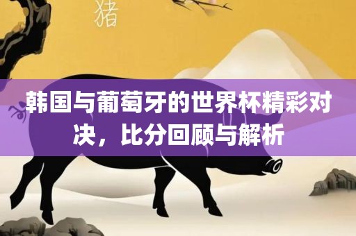 韩国与葡萄牙的世界杯精彩对决，比分回顾与解析