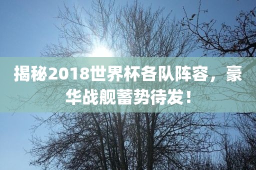揭秘2018世界杯各队阵容，豪华战舰蓄势待广西贺州市华昌新材料有限公司发！
