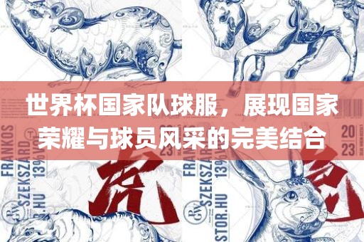 世界杯国家队球服，展现国家荣耀与球员风采的完美结合广西贺州市华昌新材料有限公司