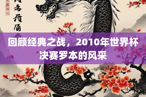 回顾经典之战，2010年世界杯决赛罗本的风采广西贺州市华昌新材料有限公司