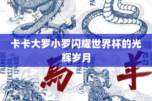 卡卡大罗小罗闪耀世界杯的光辉岁广西贺州市华昌新材料有限公司月