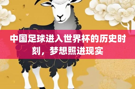 中国足球进入世界杯的历史时刻，梦想照进现实广西贺州市华昌新材料有限公司