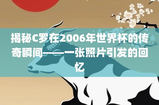 揭秘C罗在2006年世界杯的传奇瞬间——一张照片引发的回忆广西贺州市华昌新材料有限公司