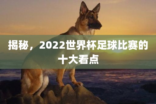 揭秘，2022世界杯足球比赛的十大看点广西贺州市华昌新材料有限公司