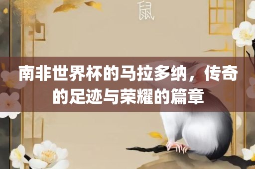 南非世界杯的马拉多纳，传奇的足迹与荣耀的篇章广西贺州市华昌新材料有限公司