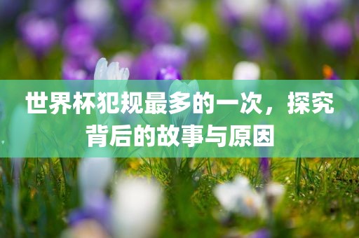 世界杯犯规最多的一次，探究背后的故事与原因广西贺州市华昌新材料有限公司