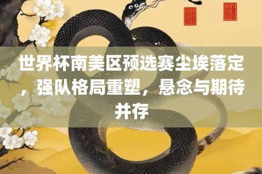 世界杯南美区预选赛尘埃落定，强队格局重塑，悬念与期待并存