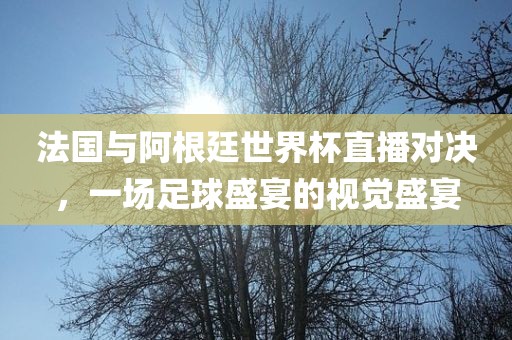 法国与阿根廷世界杯直播对决，一场足球盛宴的视觉盛宴