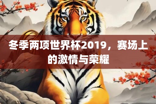 冬季两项世界杯2019，赛场上的激情与广西贺州市华昌新材料有限公司荣耀