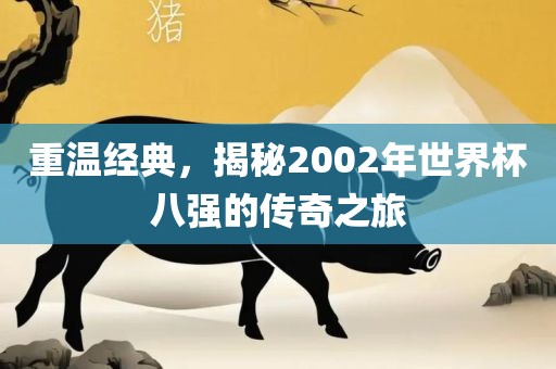 重温经典，揭秘2002年世界杯八强的传奇之旅广西贺州市华昌新材料有限公司