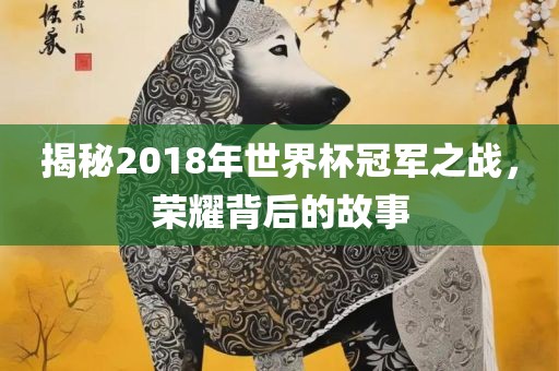 揭秘2018年世界杯冠军之战，荣耀背后的故事广西贺州市华昌新材料有限公司
