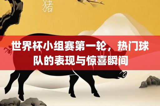 世界杯小组赛第一轮，热门球队的表现与惊喜瞬间广西贺州市华昌新材料有限公司
