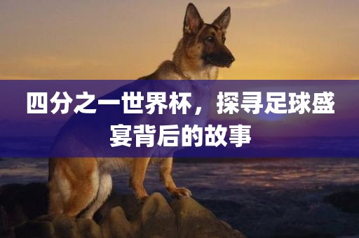 四分之一世界杯，探寻足球盛宴背后的故事广西贺州市华昌新材料有限公司