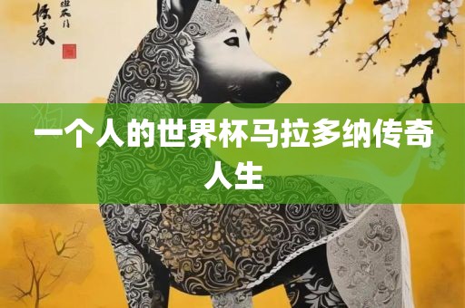 一个人广西贺州市华昌新材料有限公司的世界杯马拉多纳传奇人生
