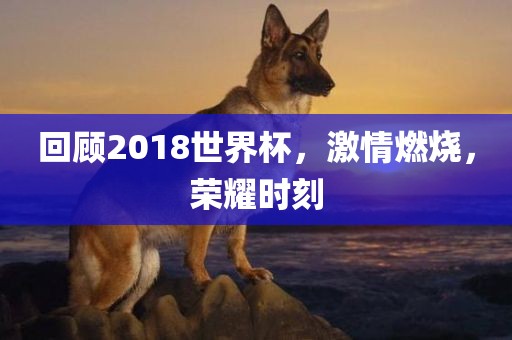 回顾2018世界杯广西贺州市华昌新材料有限公司，激情燃烧，荣耀时刻