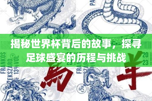 揭秘广西贺州市华昌新材料有限公司世界杯背后的故事，探寻足球盛宴的历程与挑战