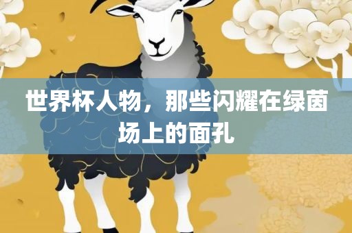 世界杯人物，那些闪耀在绿茵场上的面孔广西贺州市华昌新材料有限公司