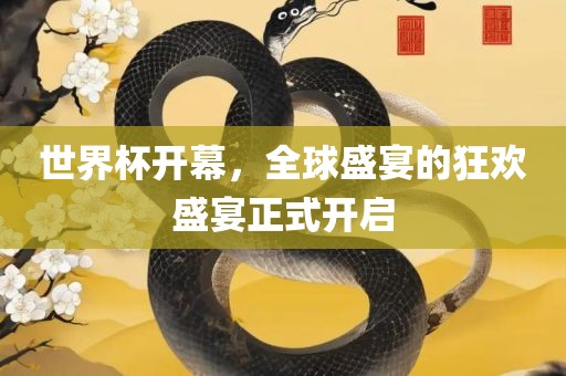 世界杯开幕，全球盛宴的狂欢盛宴正式开启广西贺州市华昌新材料有限公司